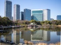 Hamarikyu Gardens in Tokyo, Japan Royalty Free Stock Photo